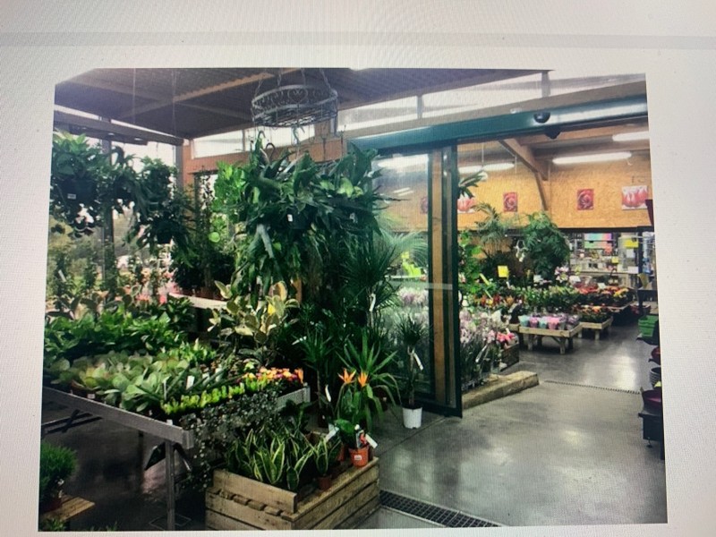  Où trouver une jardinerie qui dispose d’orchidées blanches et jaunes à plan de Cuques et ses alentours 