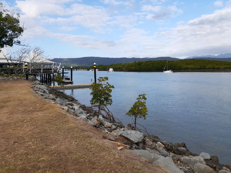 Quel paysagiste professionnel trouver à Marseille boulevard Cauvin Les Jardins de Pauline