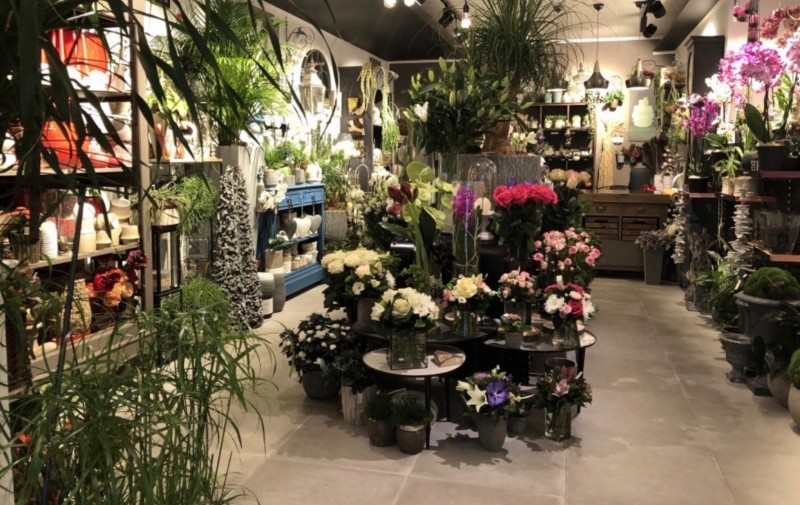 Trouver un fleuriste proposant de très joli bouquet pour divers événements, anniversaire, Fête des Mères dans le huitième arrondissement de Marseille 13008 Bouches-du-Rhône  