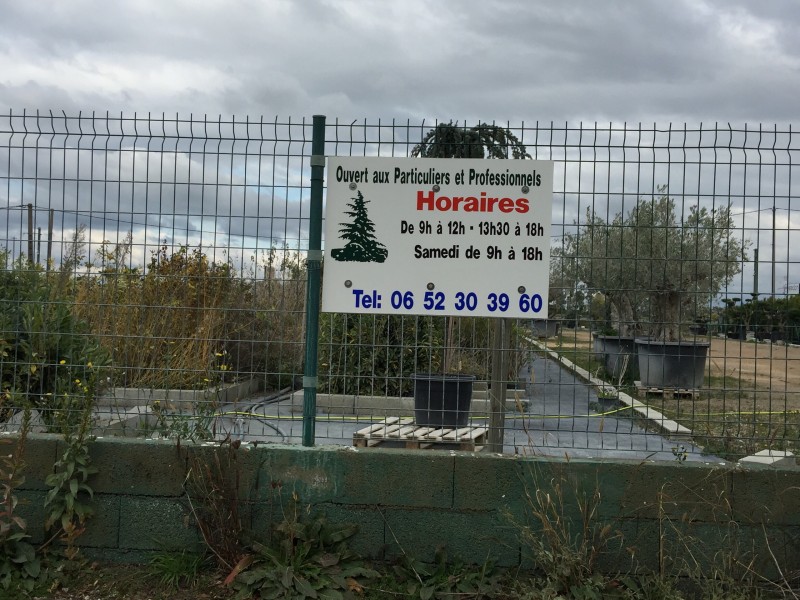 Où acheter des oliviers de grande taille et des arbustes taillés pour embellir ma propriété à Lyon ou dans ses environs ? Saint-Bonnet-de-Mure proximité de Lyon  Pépinière Au bonheur du Jardin