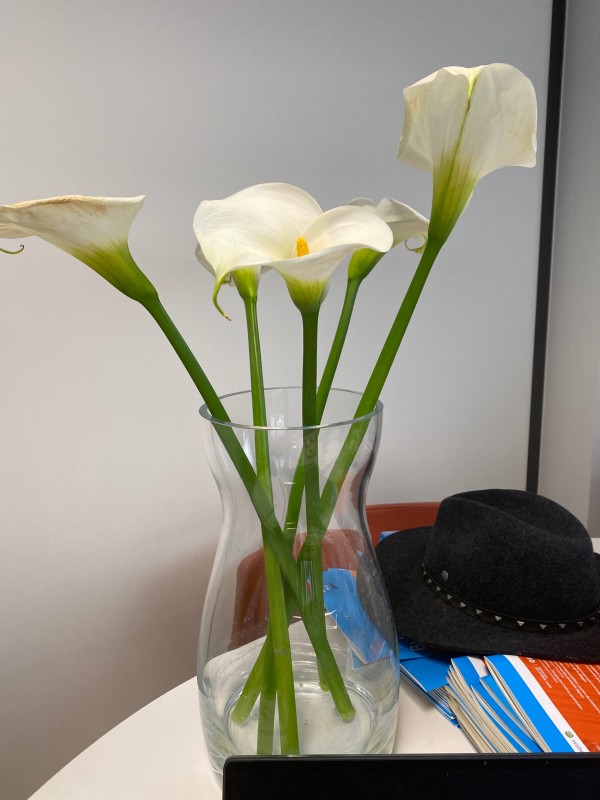  Où trouver un avocat spécialisé dans le droit des transports pour un transitaire sur Marseille 