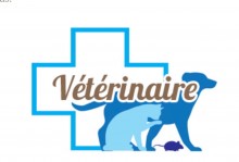 Où trouver une clinique vétérinaire qui prend en charge les soins pour les nouveaux animaux de compagnie La SEYNE sur mer Clinique vétérinaire D. van de voorde 