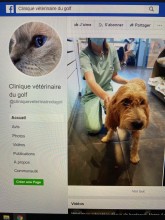 Où trouver une clinique vétérinaire qui prendra soin de mon animal de compagnie Bandol Clinique vétérinaire du golf